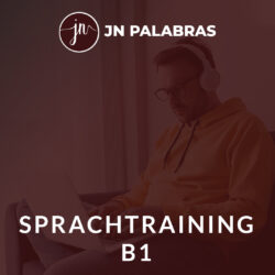 Sprachtraining B1